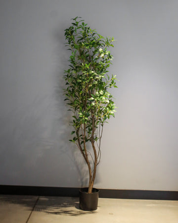 Indoor Artificial Greenery Accent
