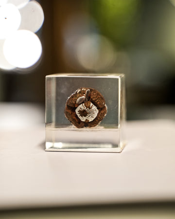 RESIN ORNAMENT