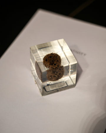 RESIN ORNAMENT
