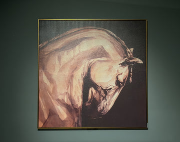 Stallion Print Wall art