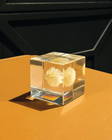 RESIN ORNAMENT