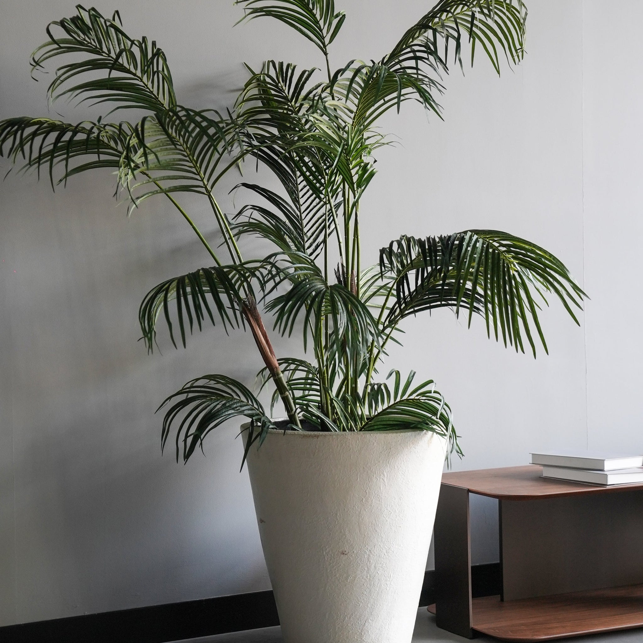 ARTIFITIAL PLANTS