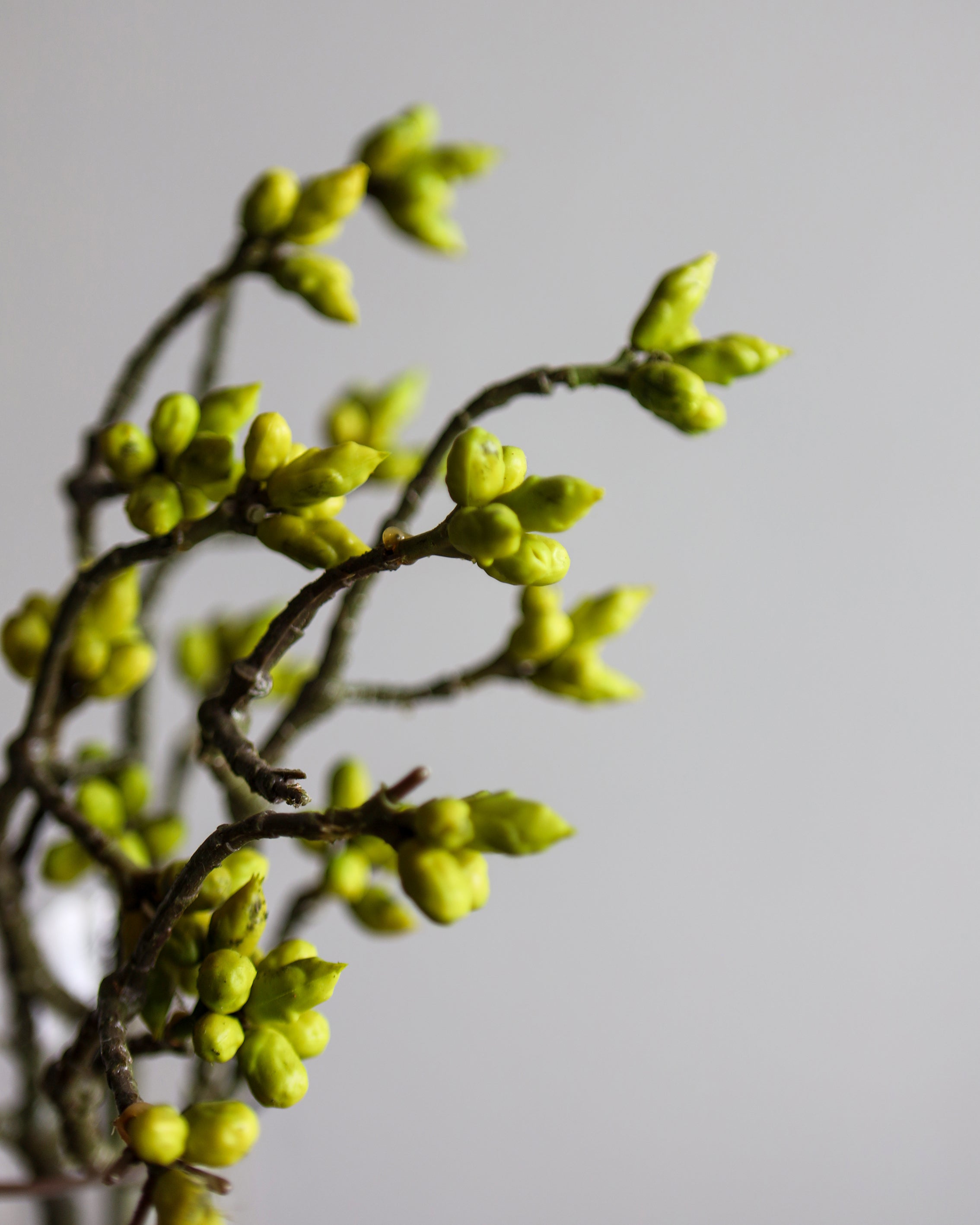 ARTIFICIAL PLANT