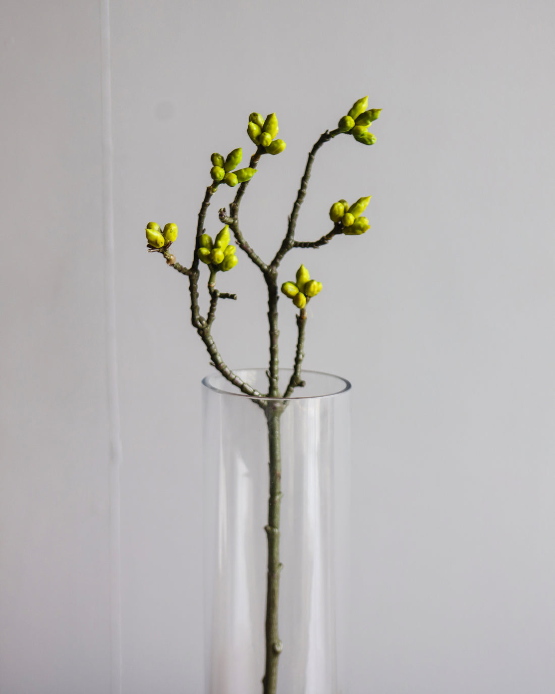 ARTIFICIAL PLANT