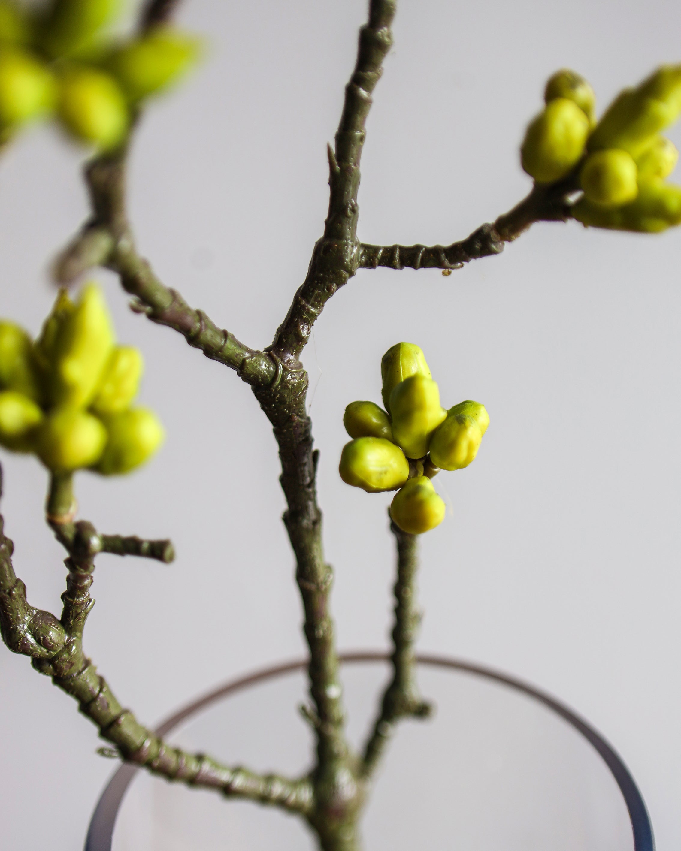 ARTIFICIAL PLANT