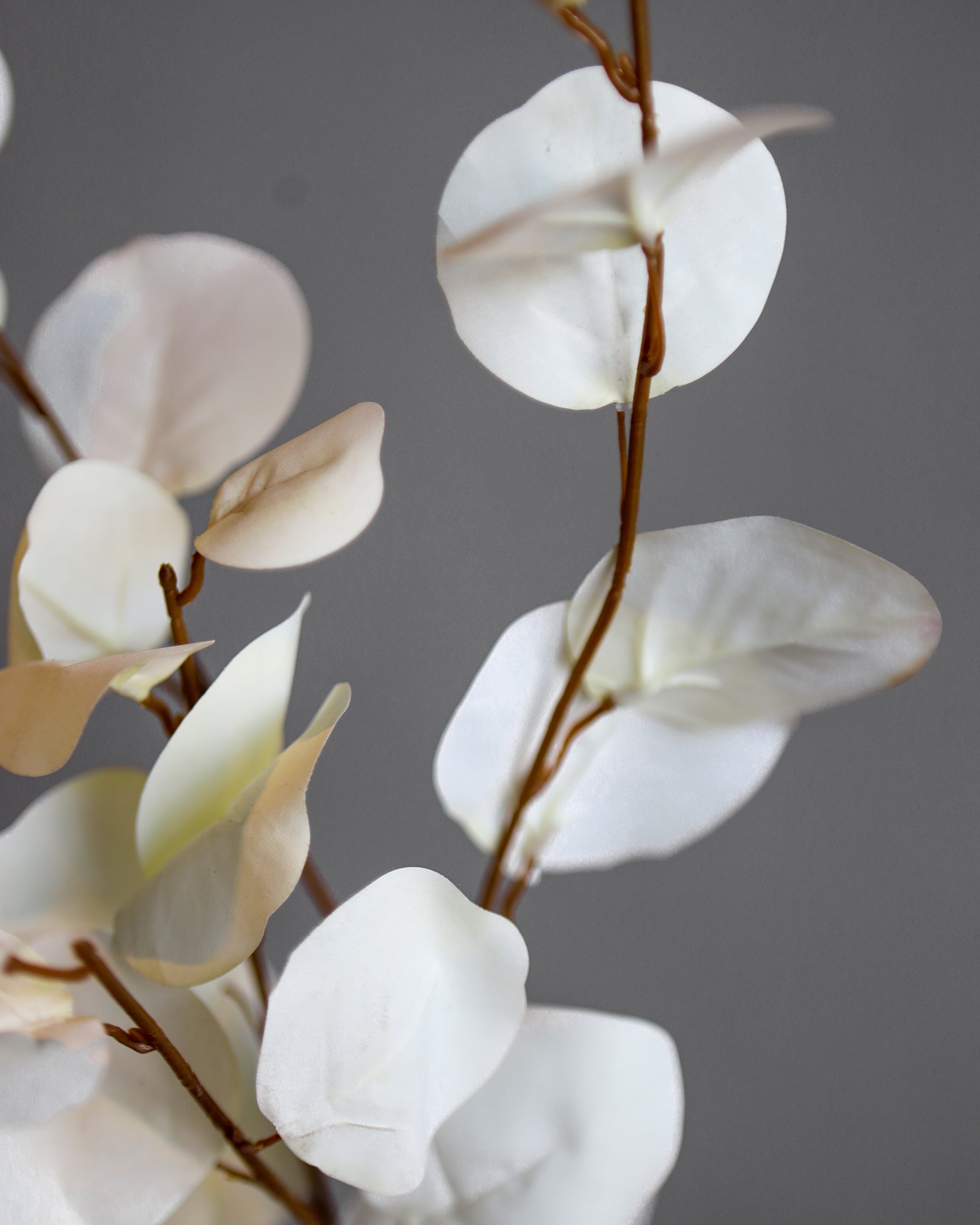 Everbloom Flower Stem