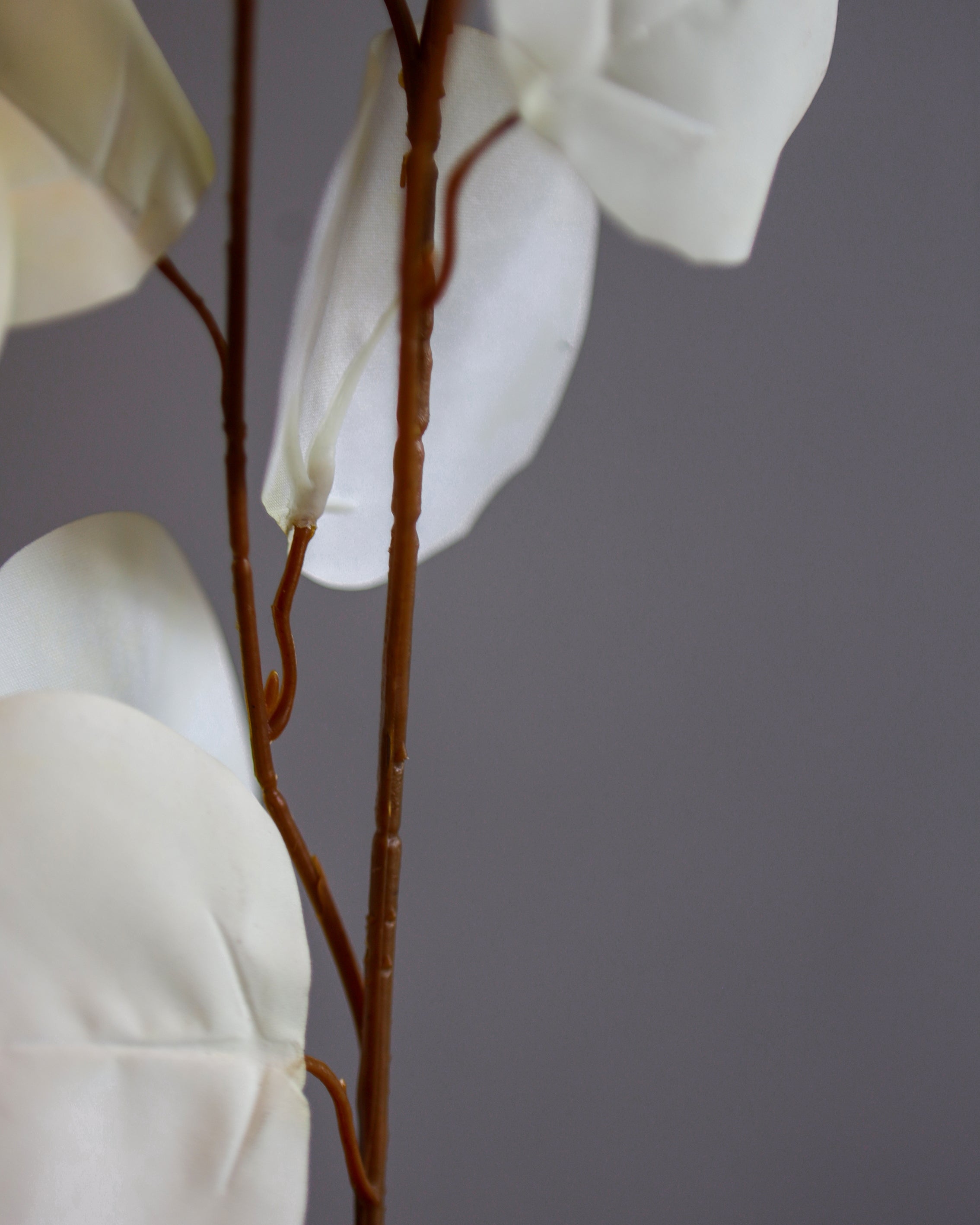 Everbloom Flower Stem