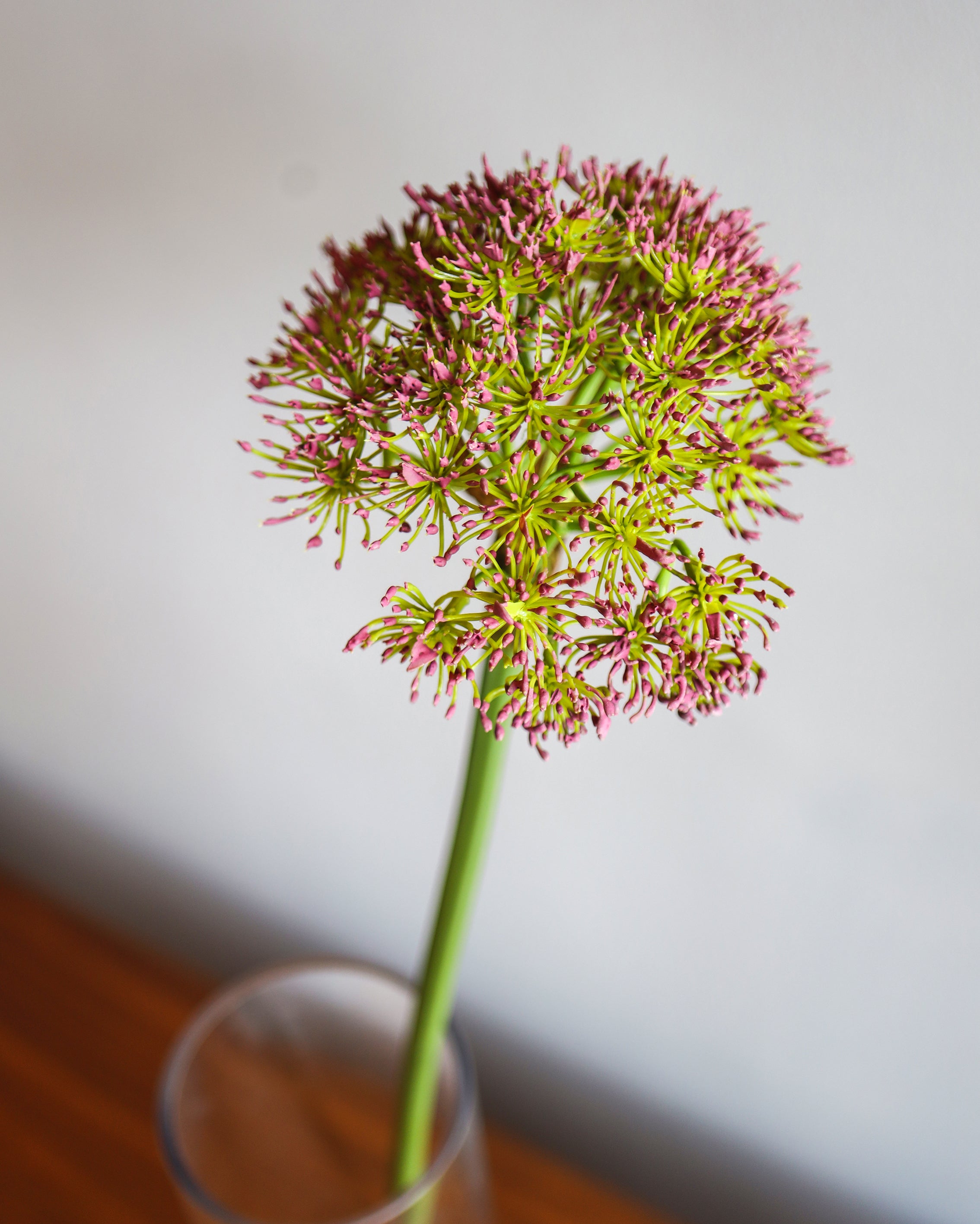 Vibrant Artificial Flower