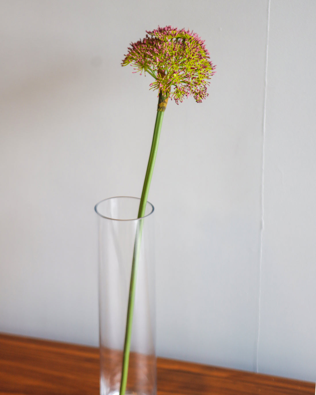 Vibrant Artificial Flower