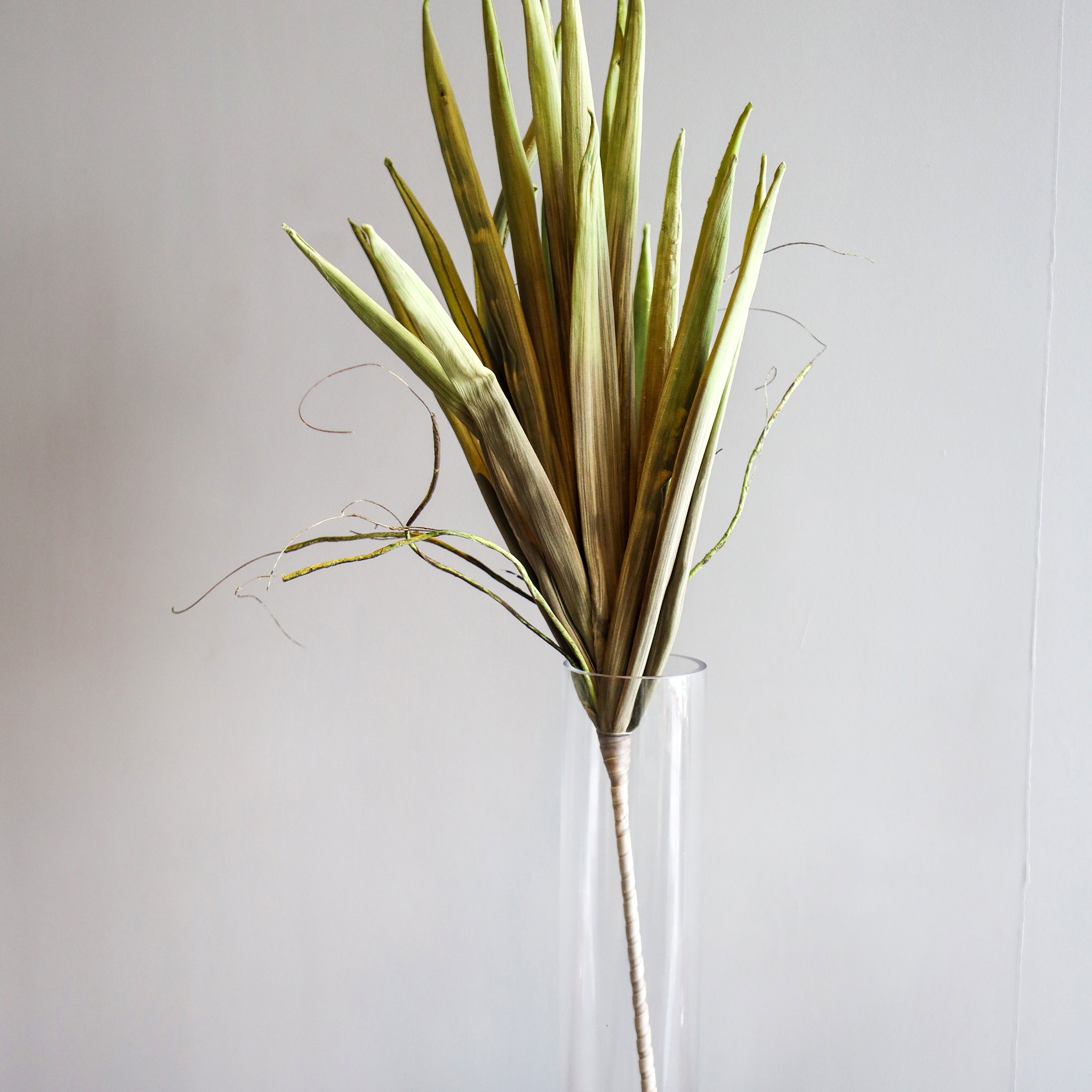 Artificial Leaf