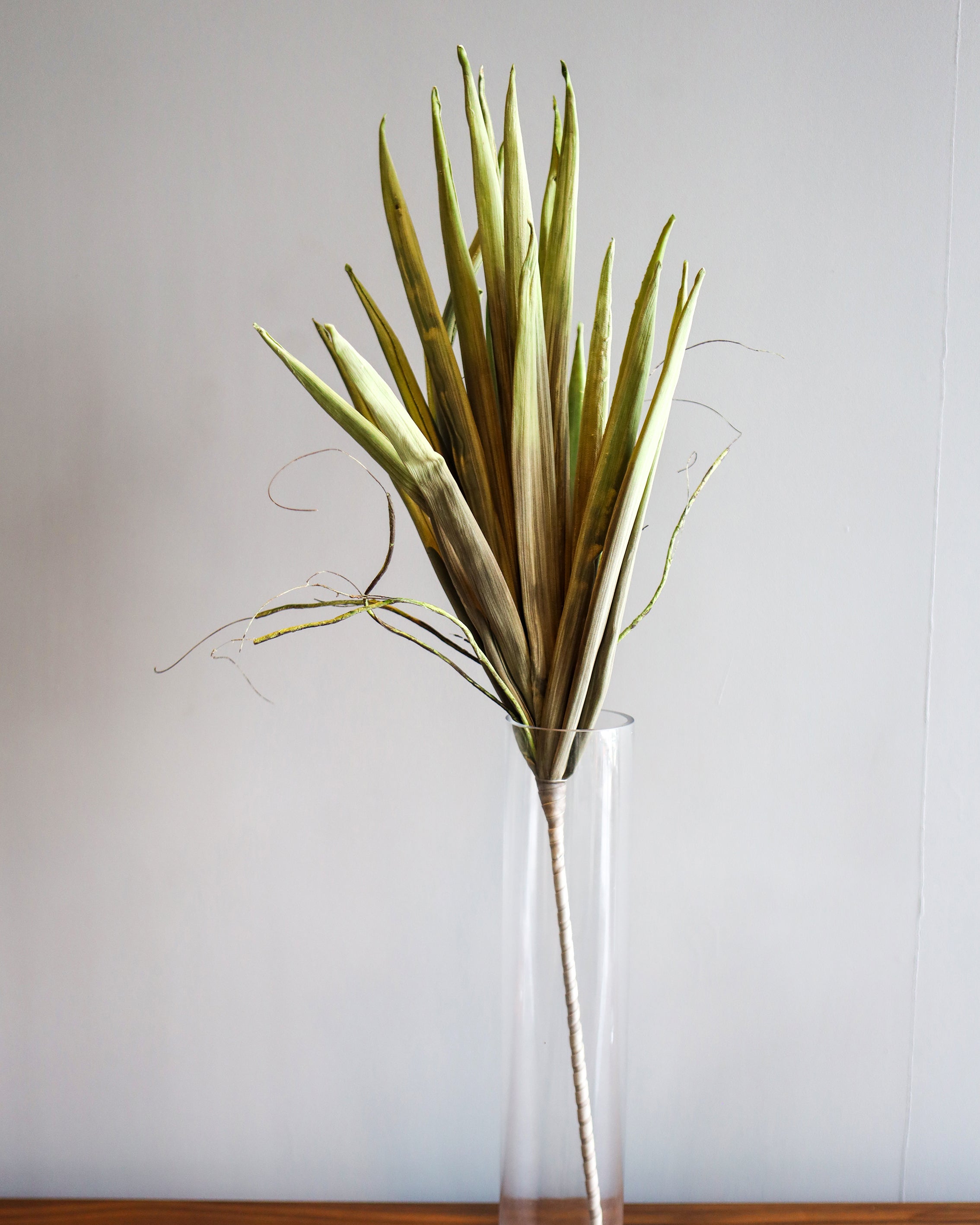 Artificial Leaf