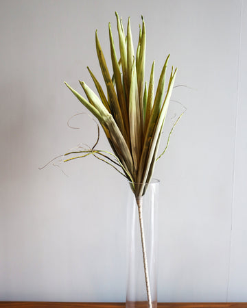 Artificial Leaf