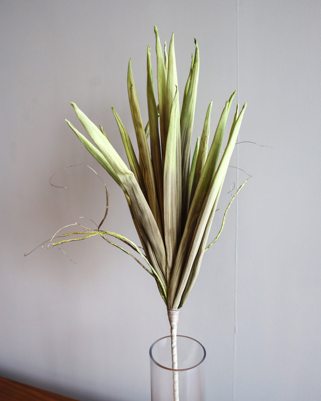 Artificial Leaf