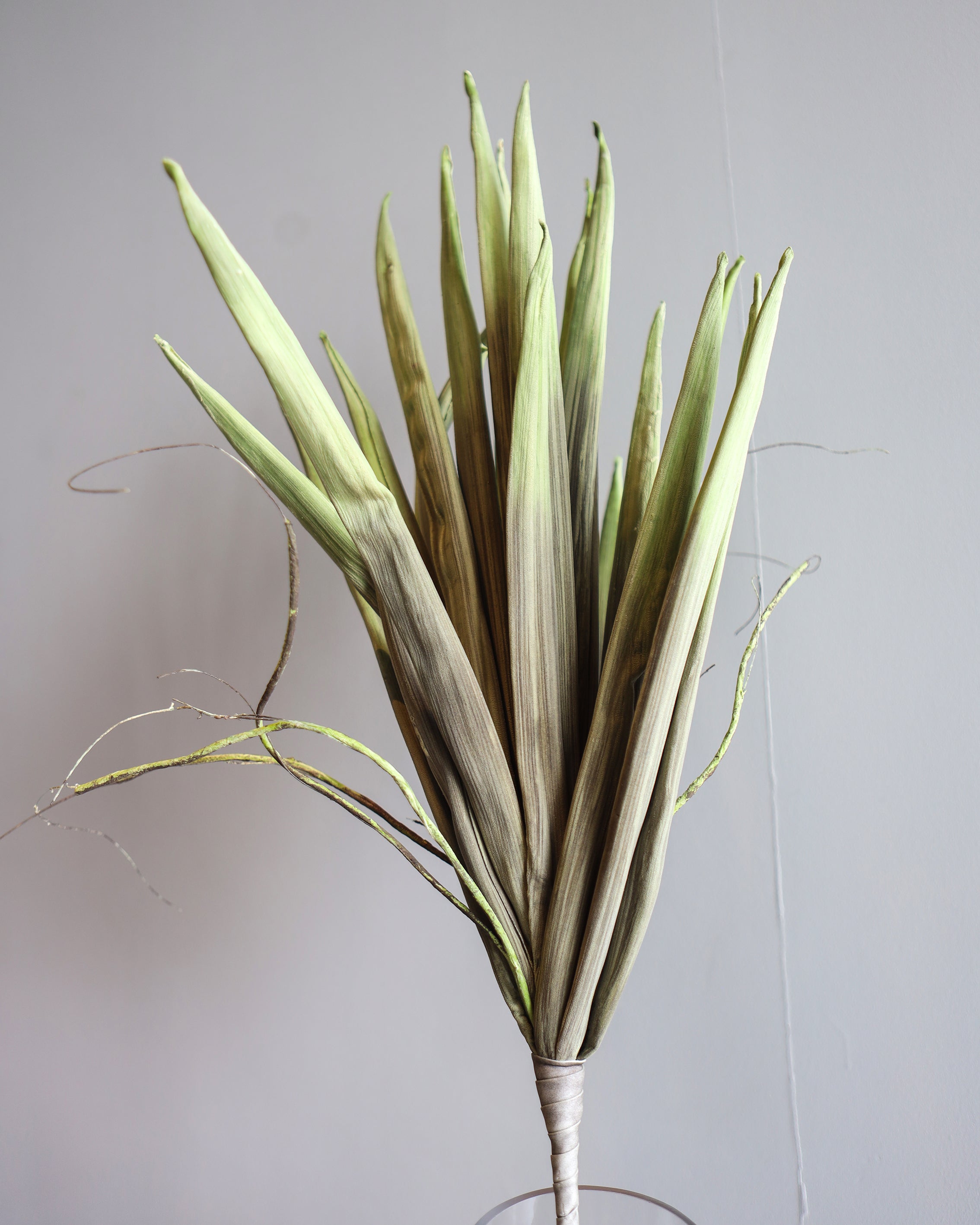 Artificial Leaf