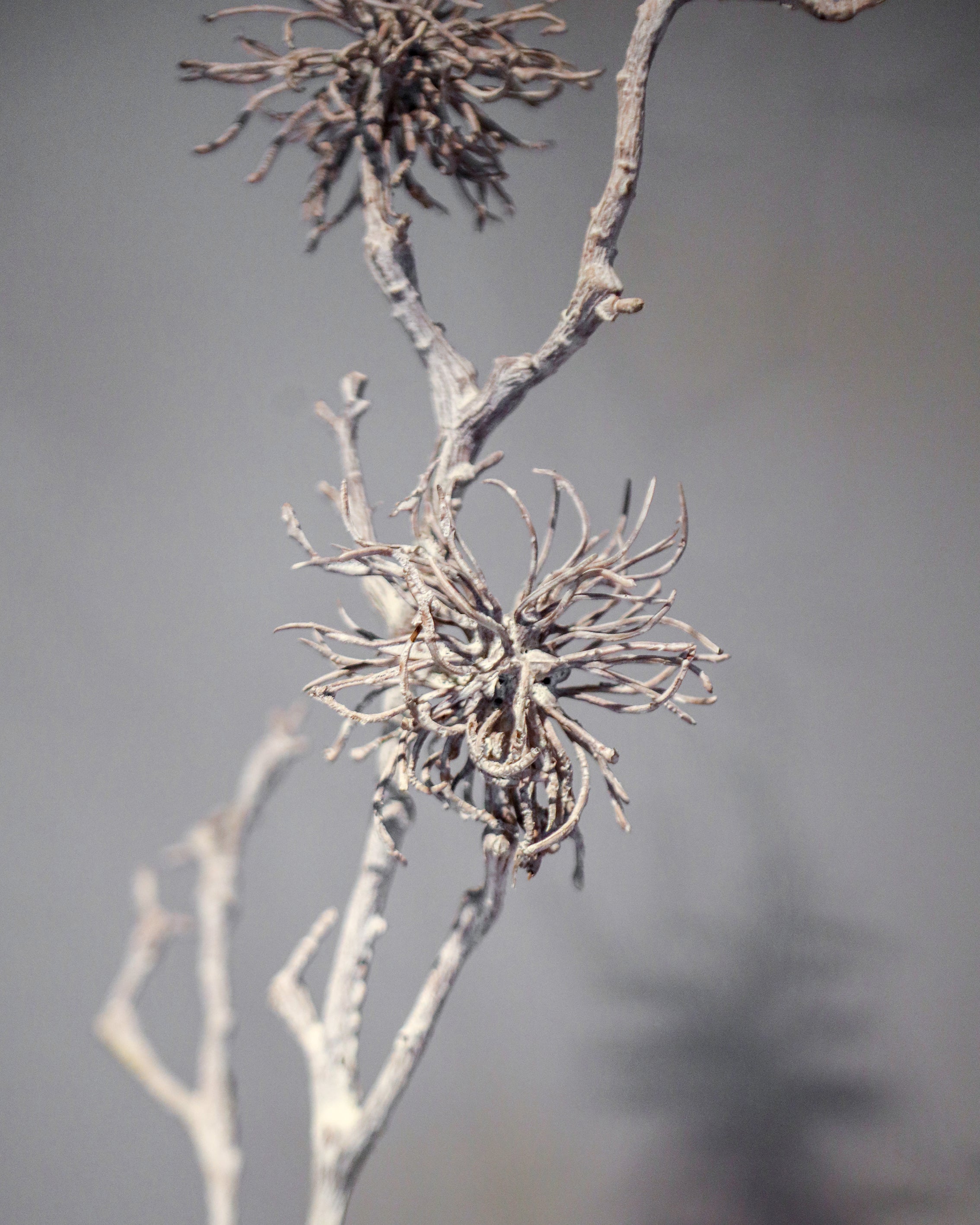 ARTIFICIAL PLANT