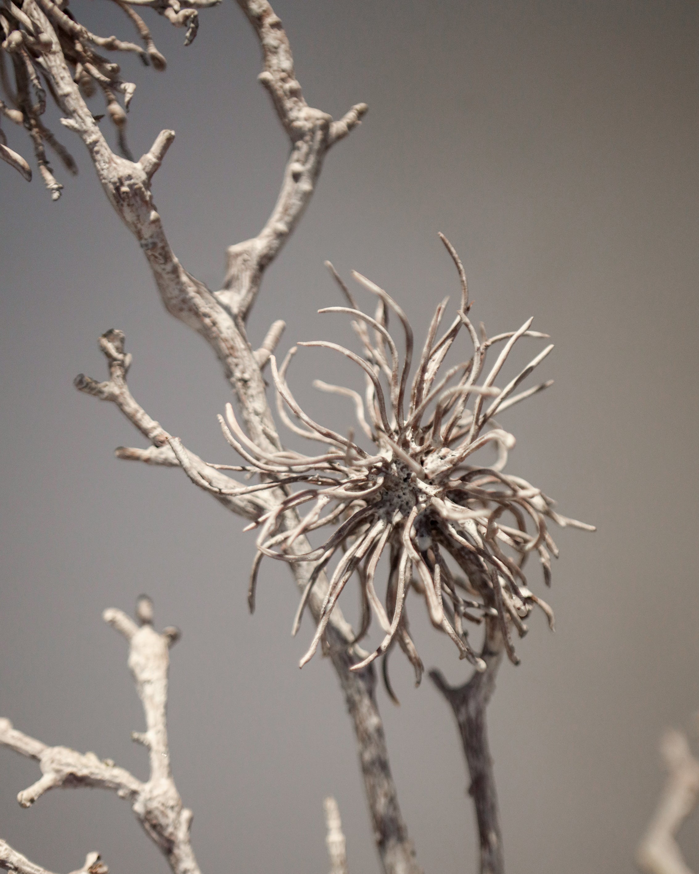ARTIFICIAL PLANT