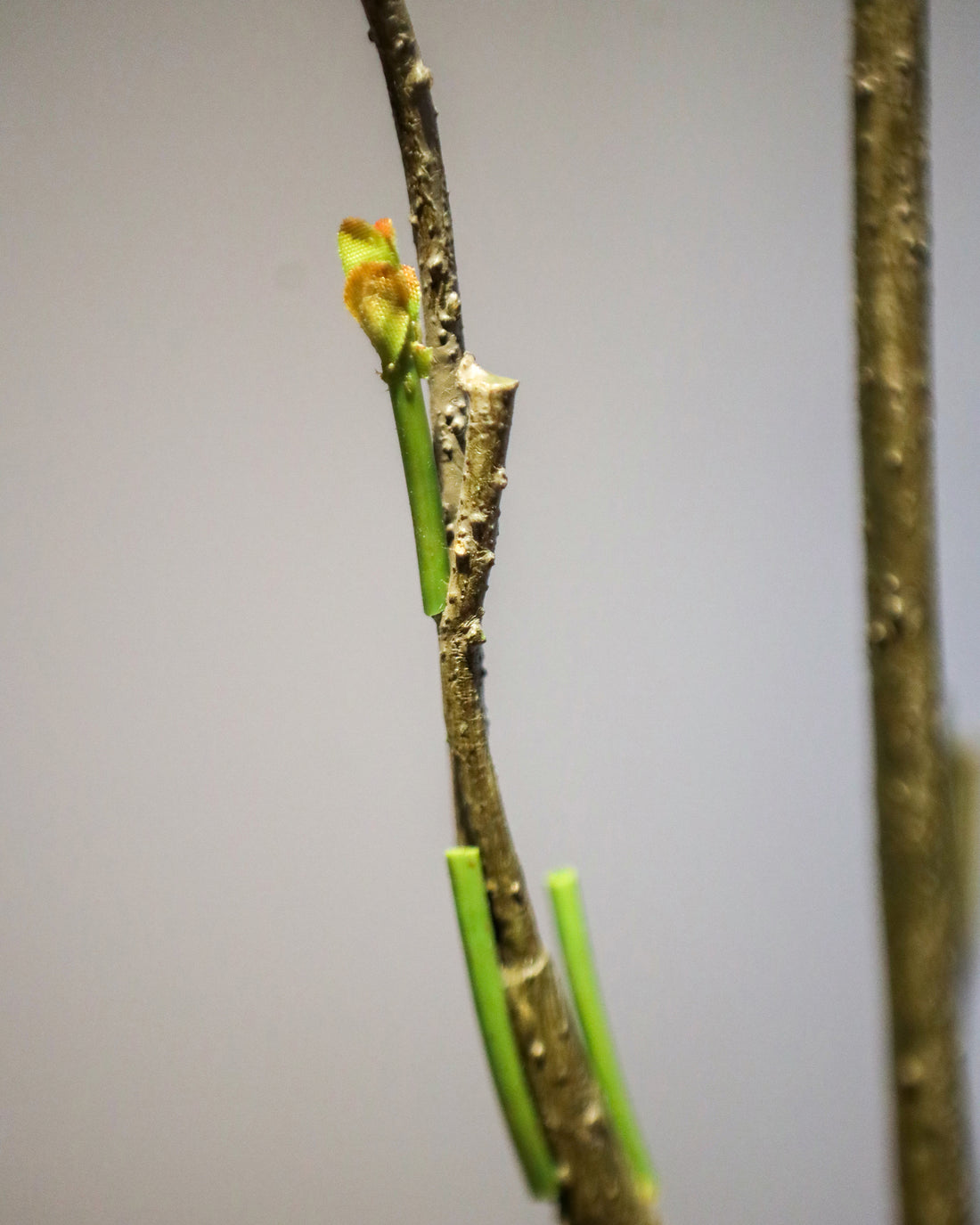 ARTIFICIAL PLANT