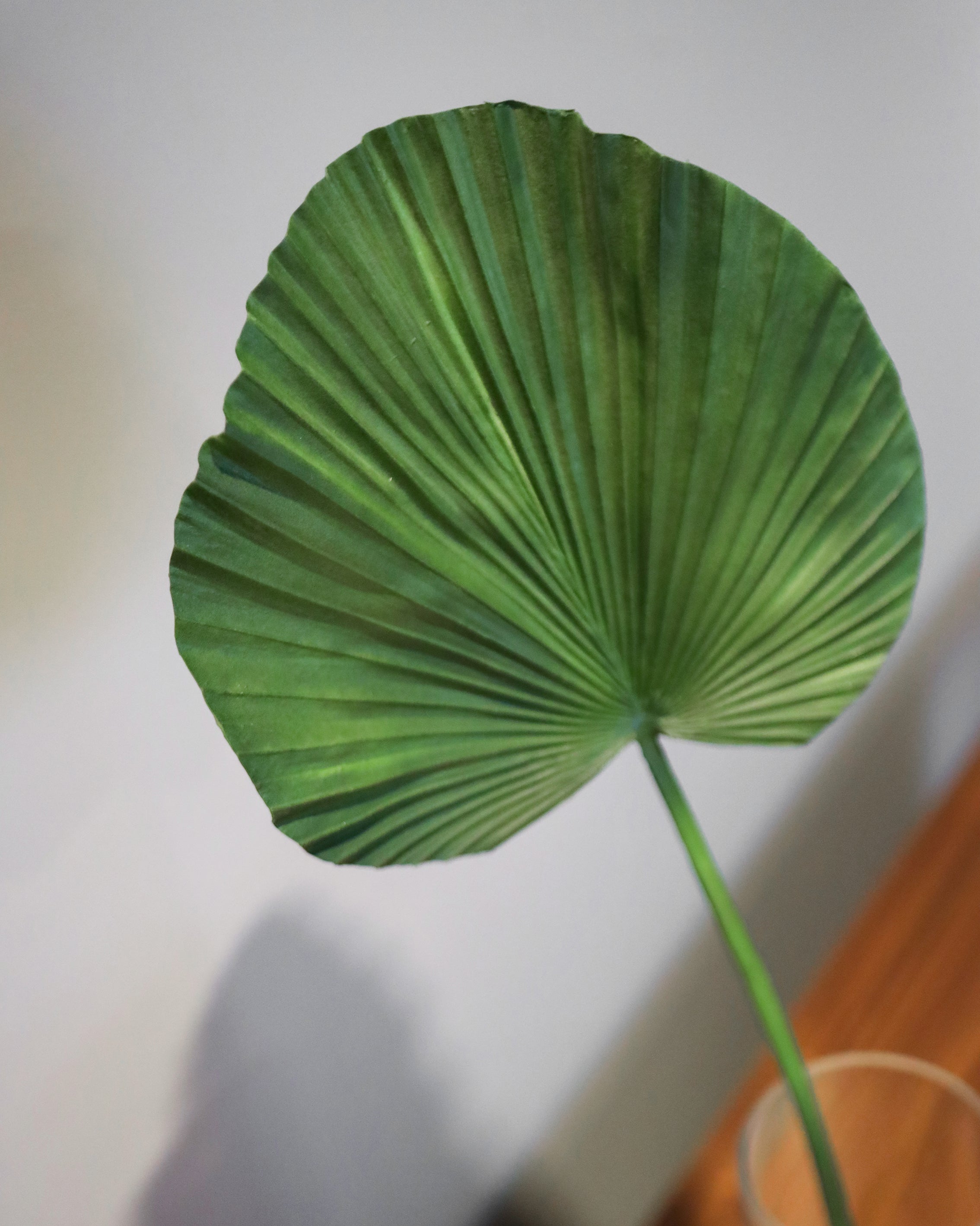 ARTIFICIAL PLANT