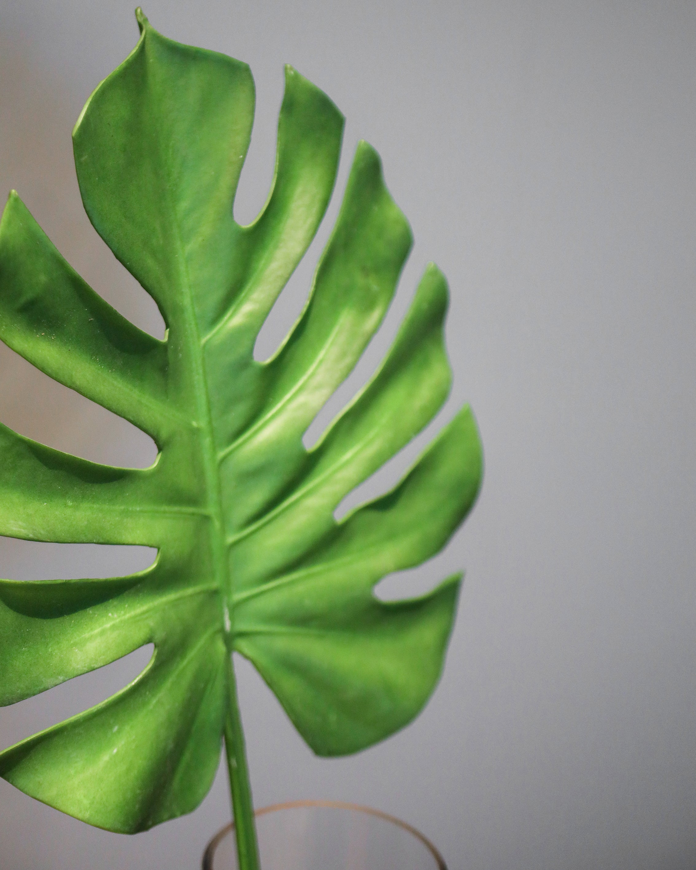 Durable Artificial Plant