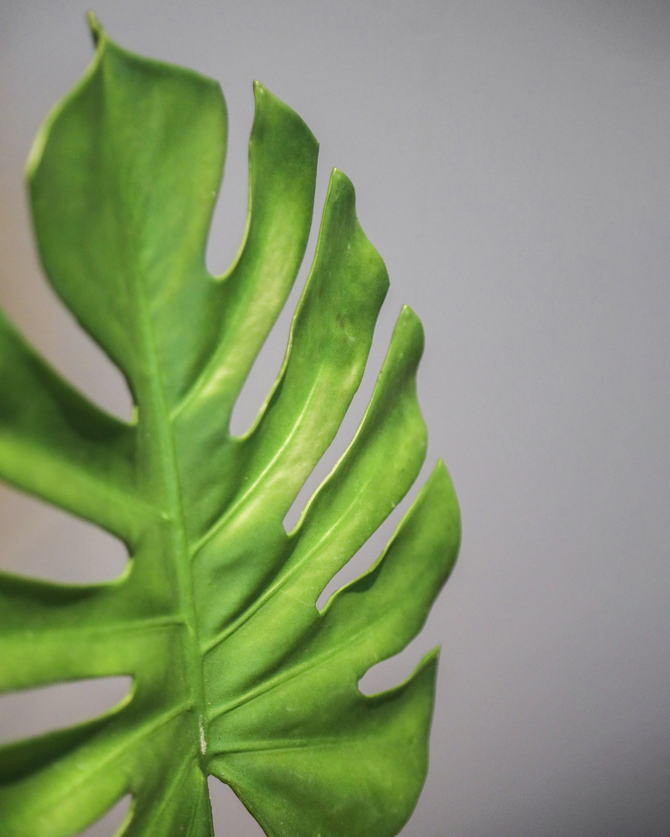 Durable Artificial Plant