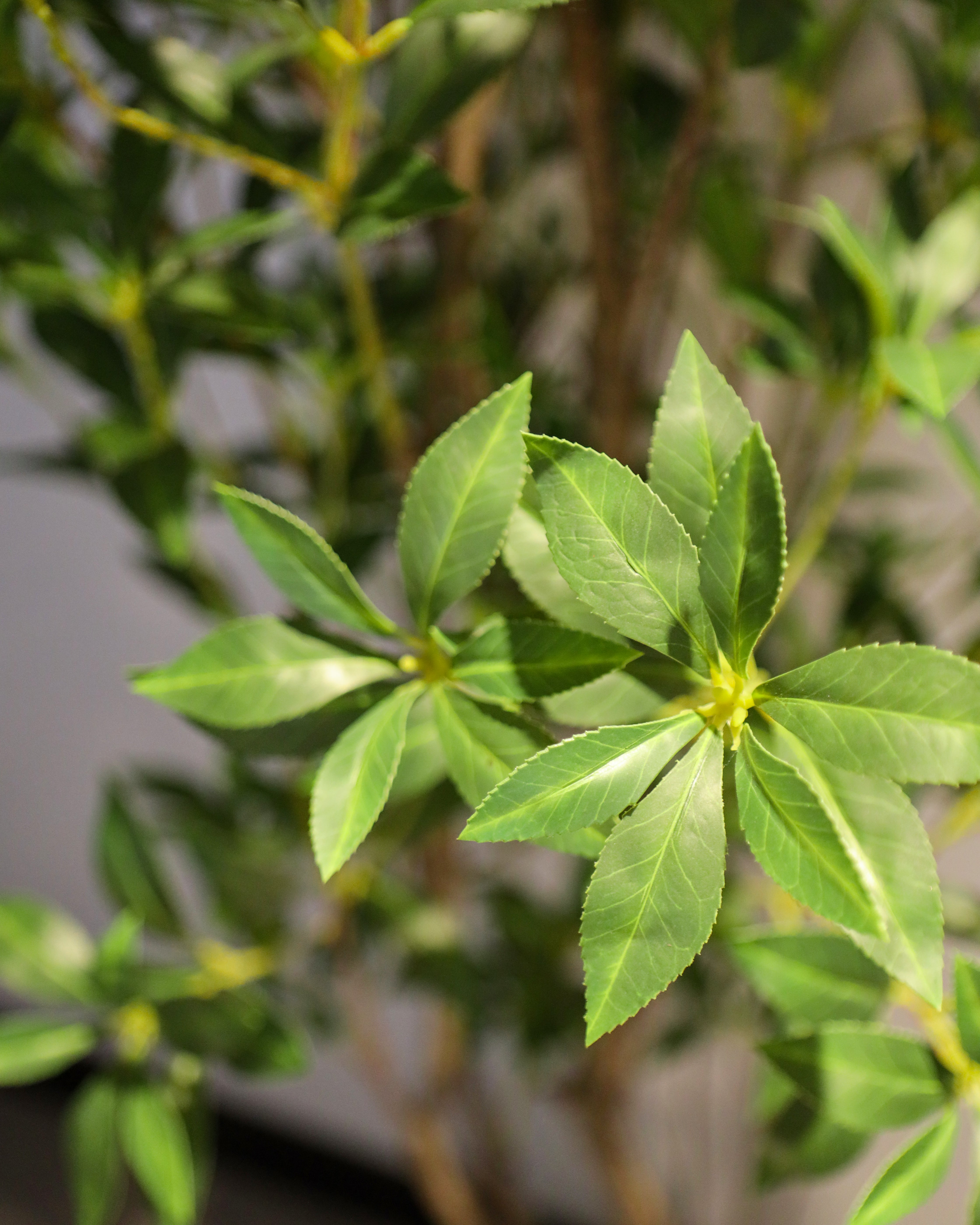 Indoor Artificial Greenery Accent
