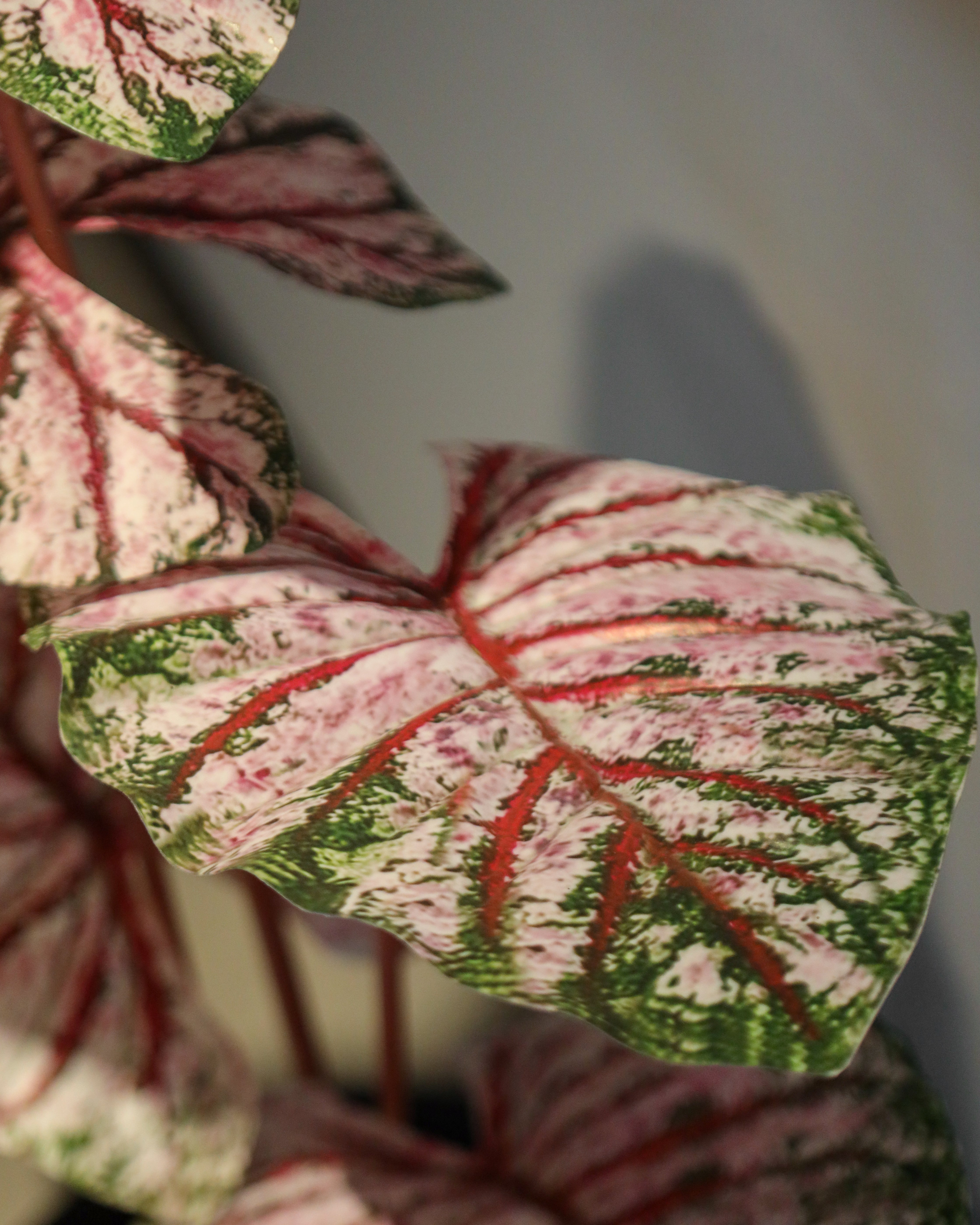 Elegant Artificial Plant