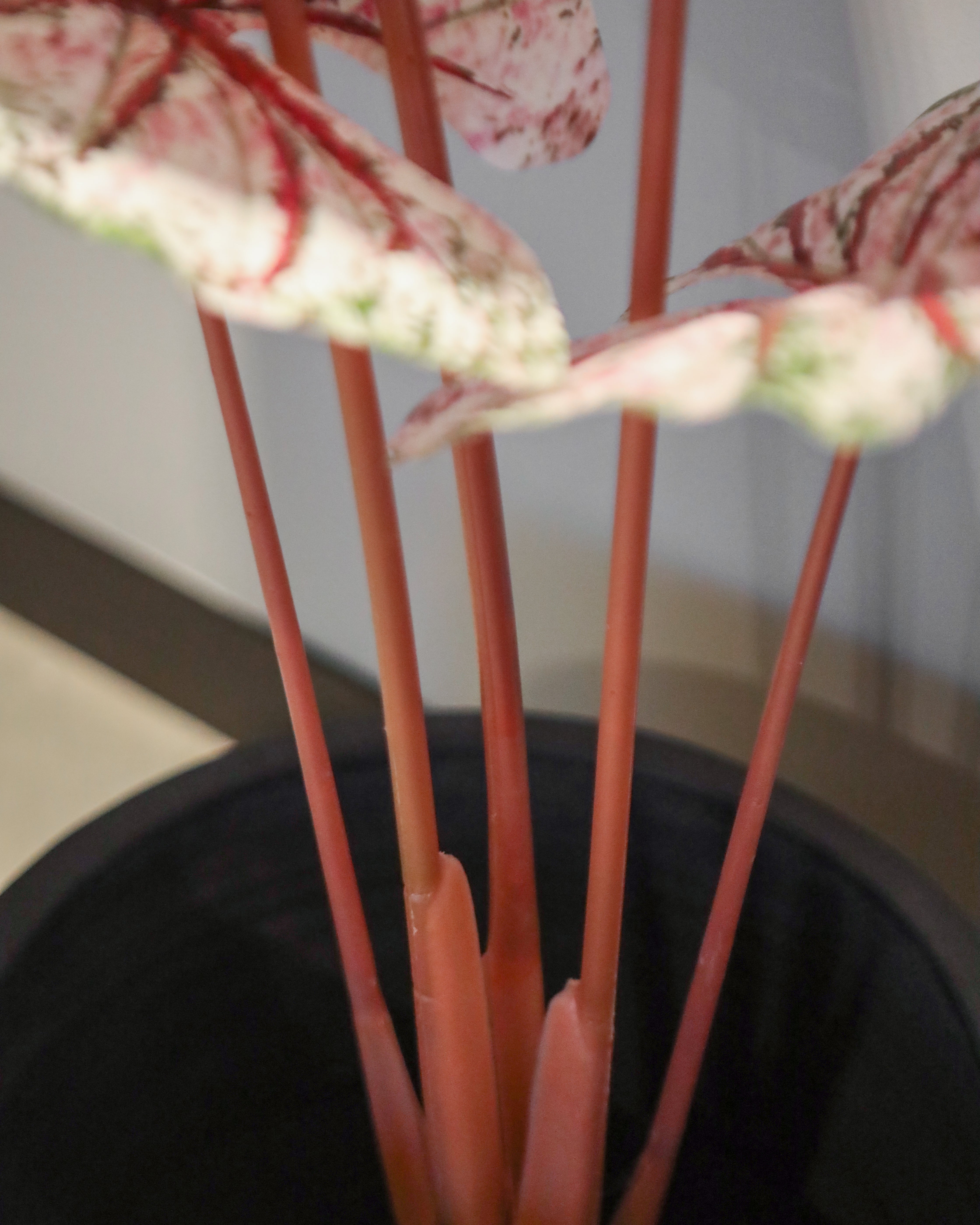 Elegant Artificial Plant