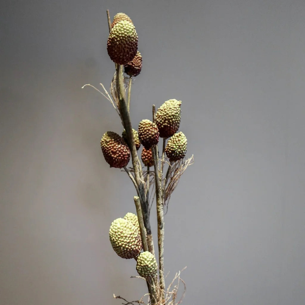 Decorative Dried Floral Stem