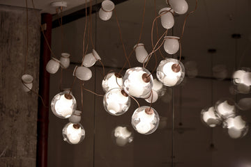 LIGHT
