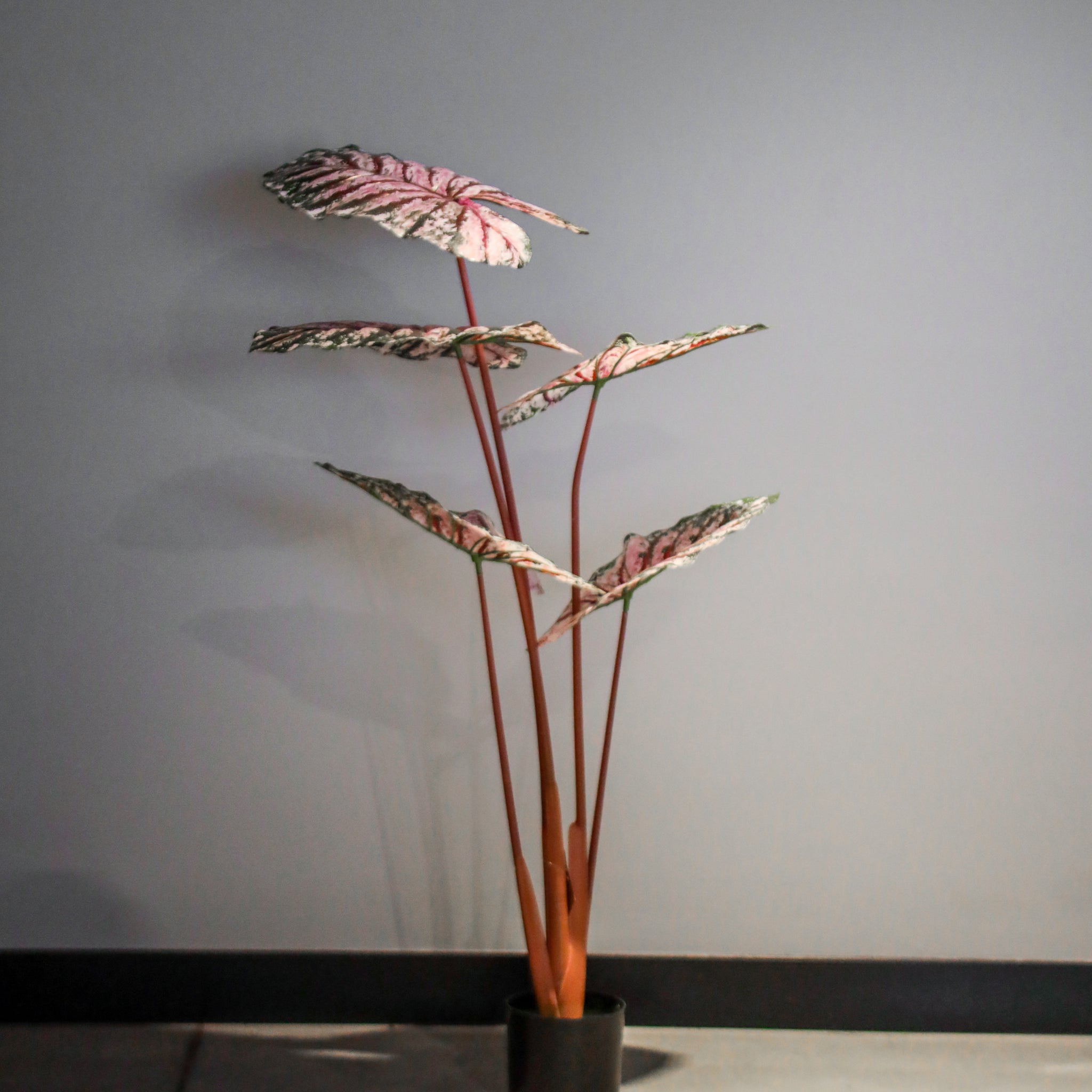 Elegant Artificial Plant