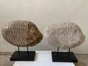 WOODEN BANYAN ART
