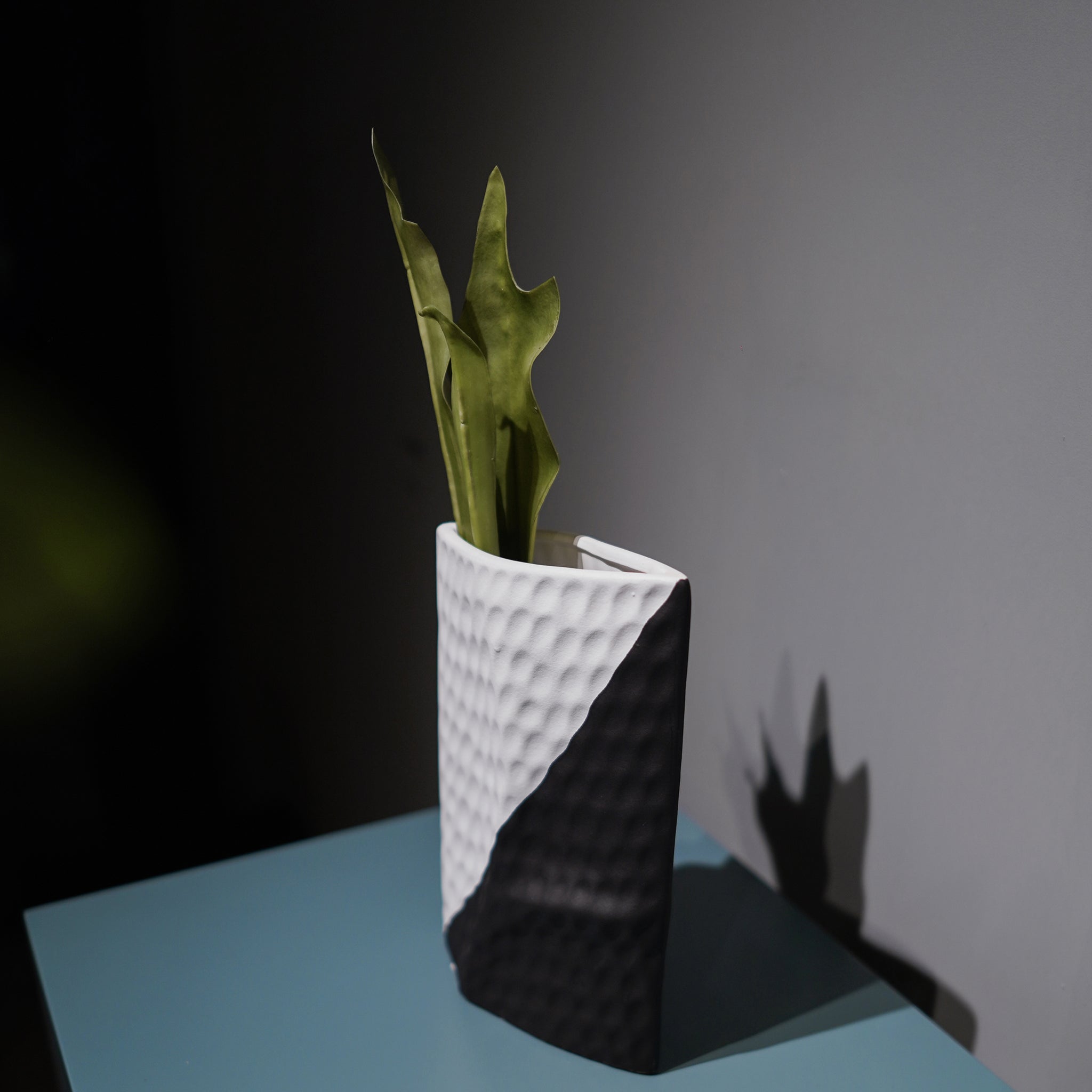 Black & White Ceramic Art Vase