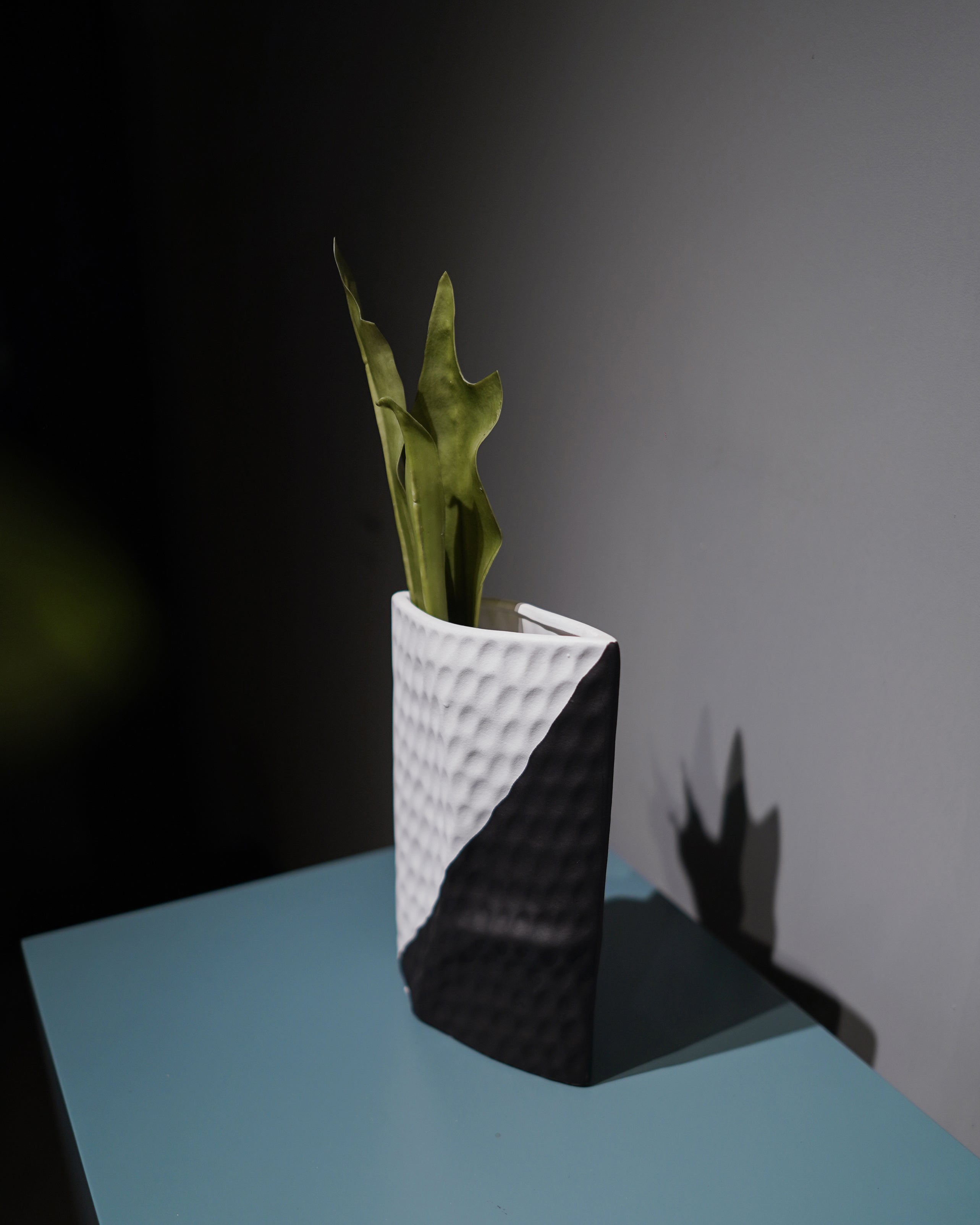Black & White Ceramic Art Vase