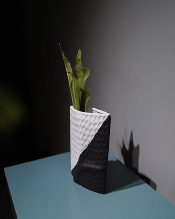 Black & White Ceramic Art Vase