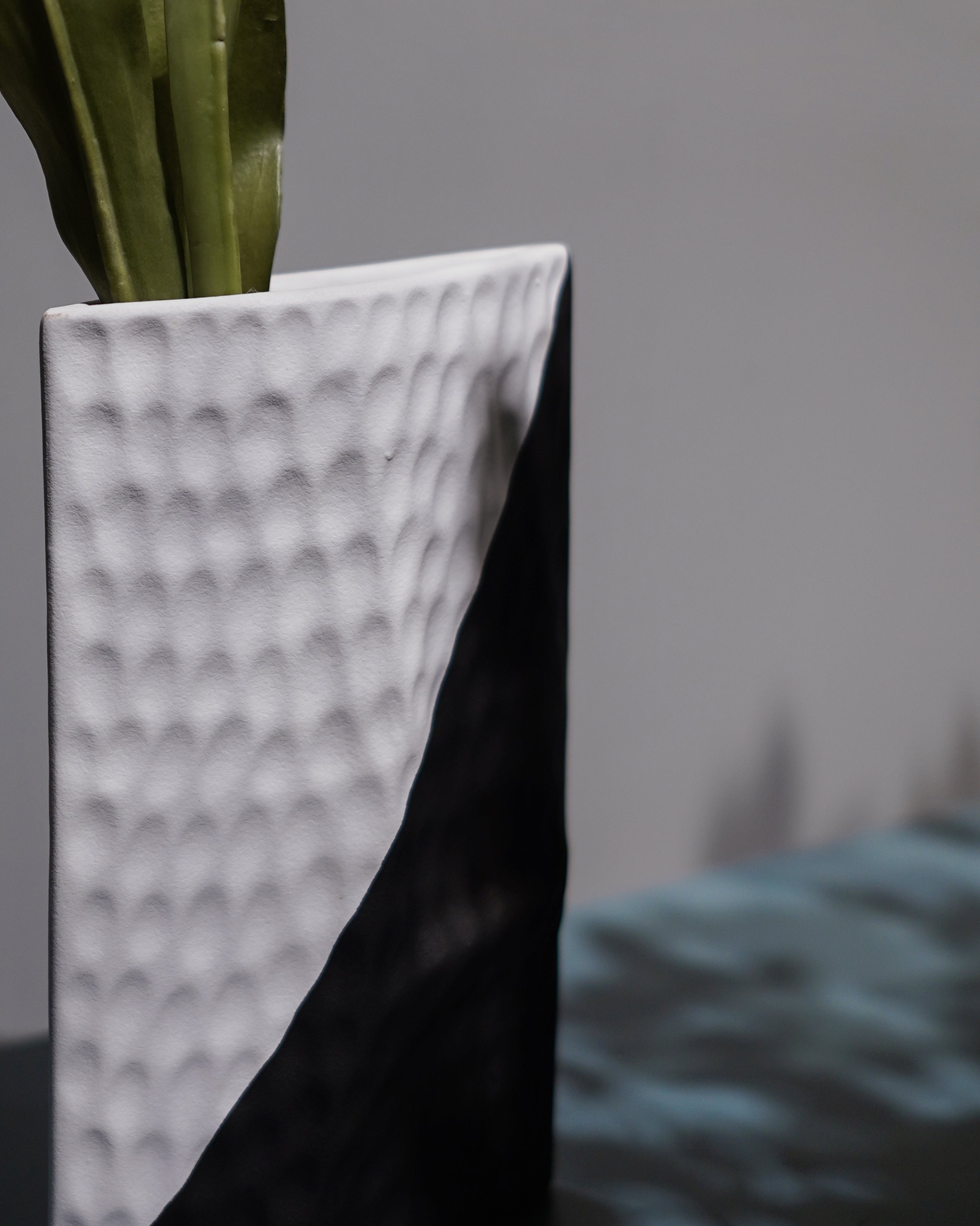 Black & White Ceramic Art Vase