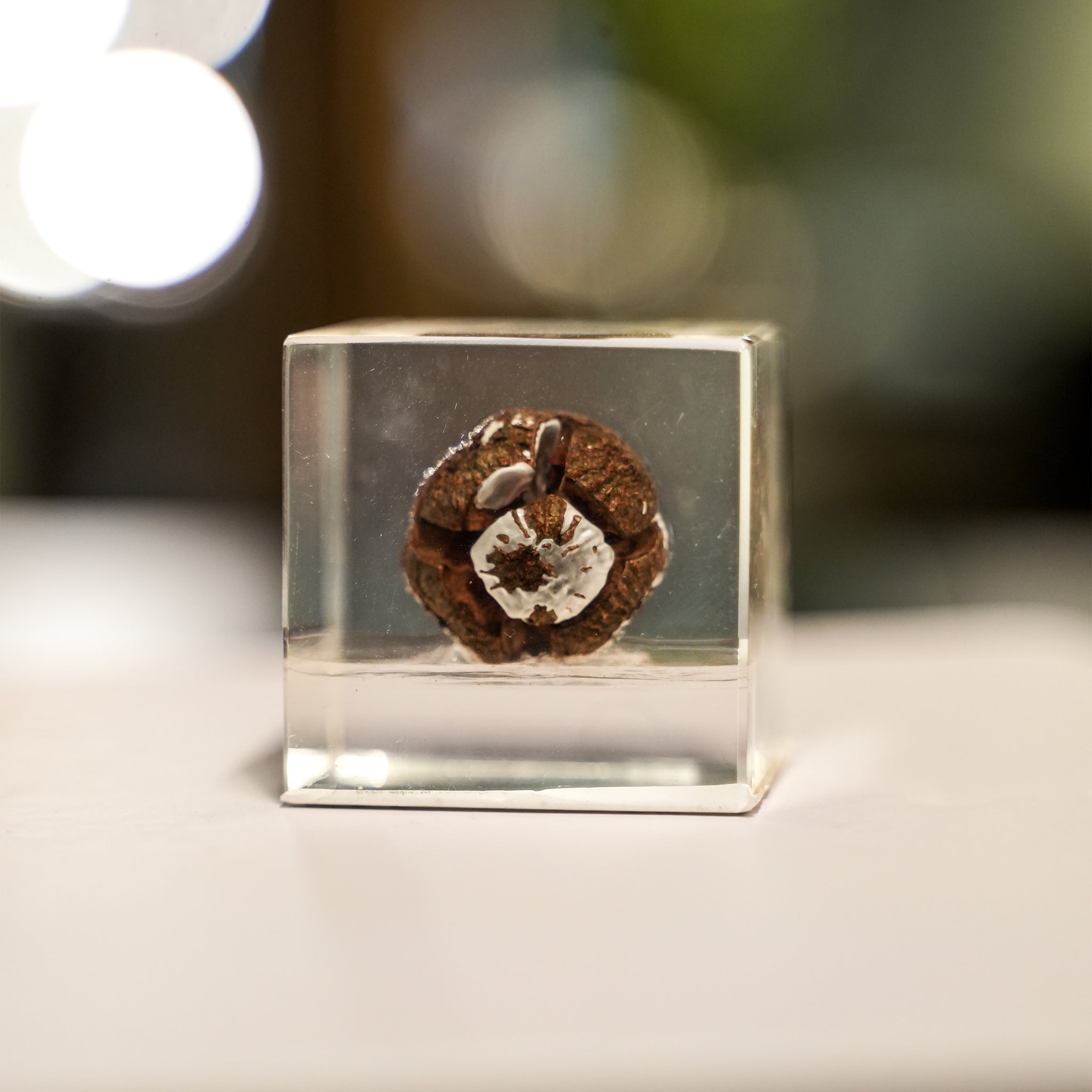 RESIN ORNAMENT