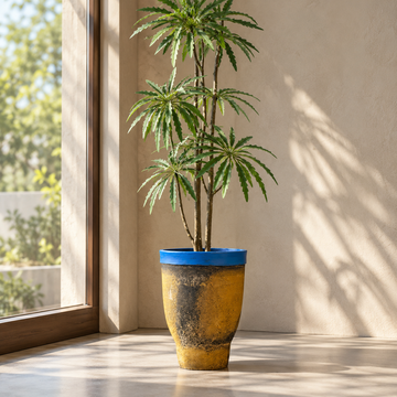 Ardena Pot