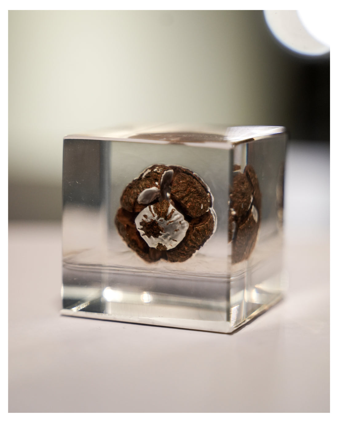 RESIN ORNAMENT