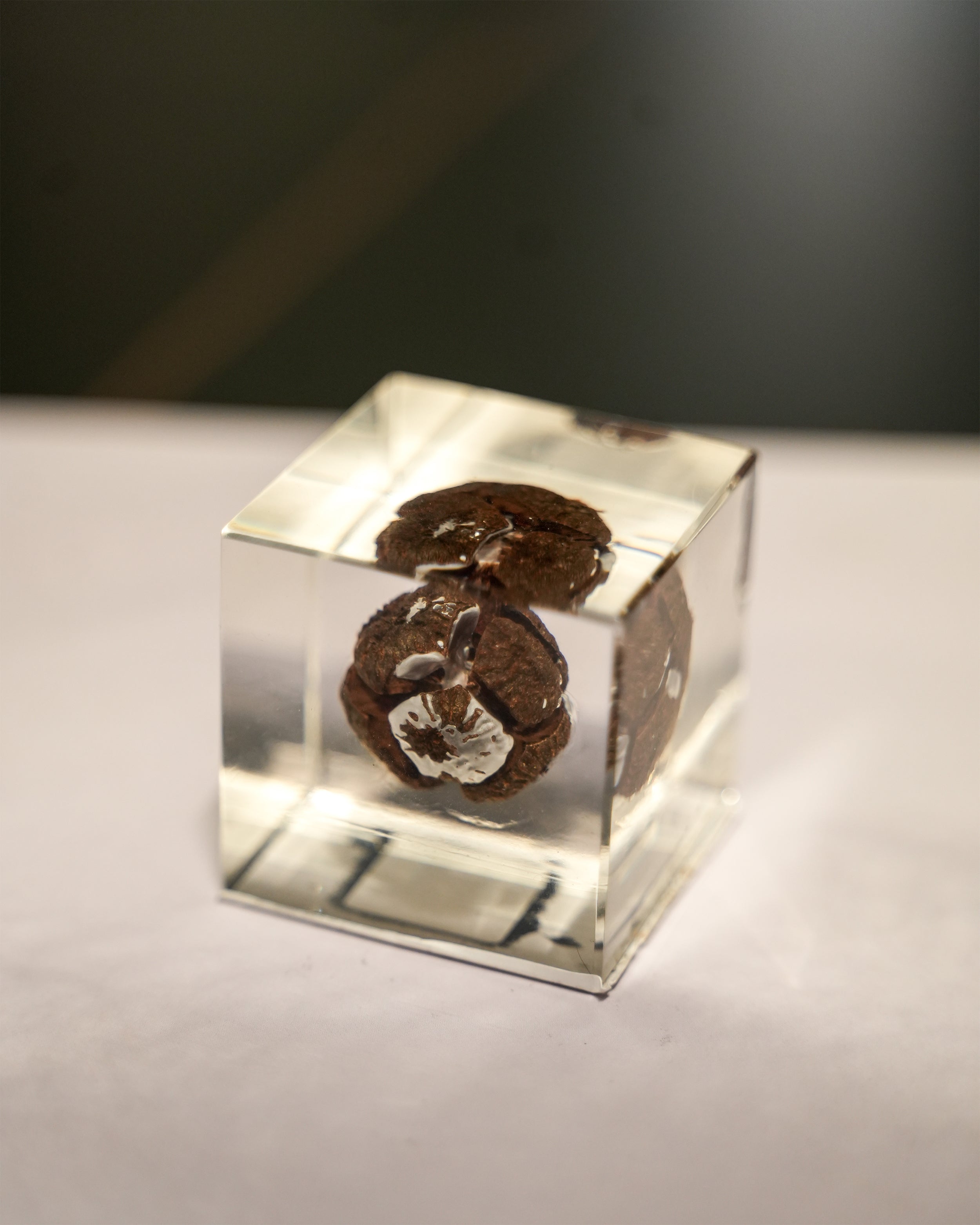 RESIN ORNAMENT