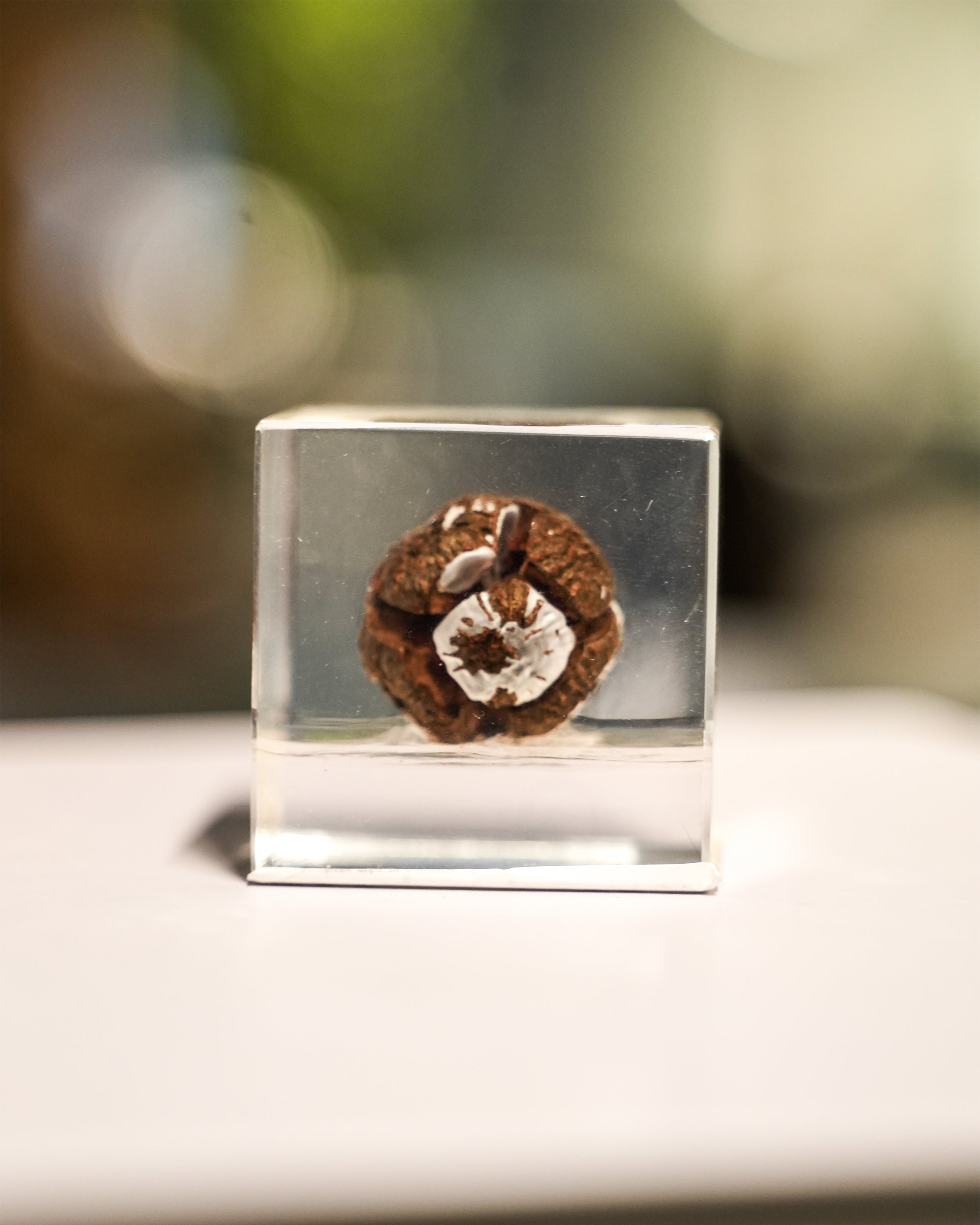 RESIN ORNAMENT