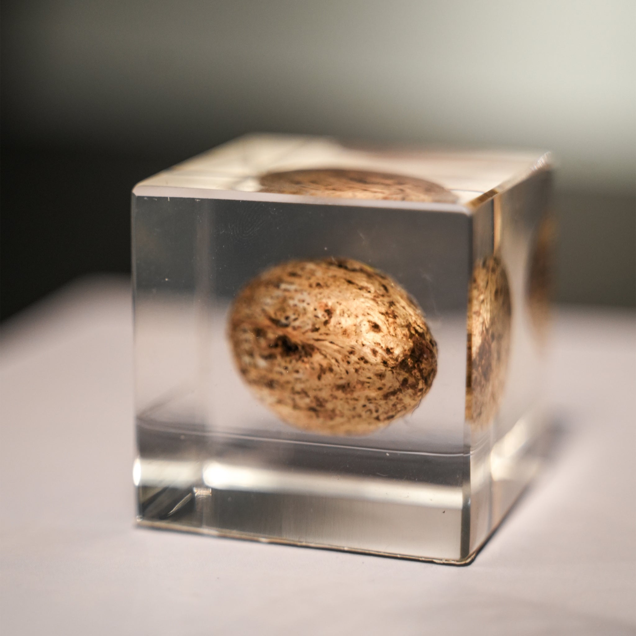 RESIN ORNAMENT