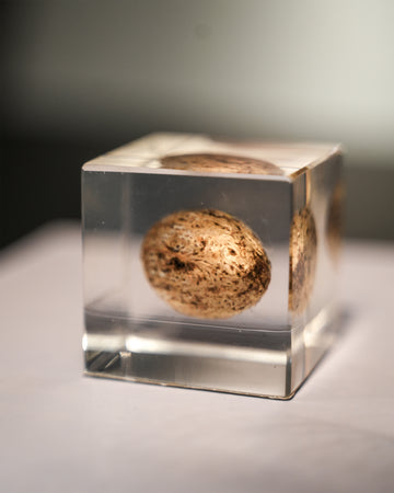 RESIN ORNAMENT