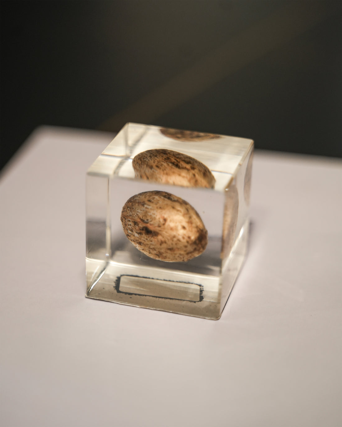 RESIN ORNAMENT