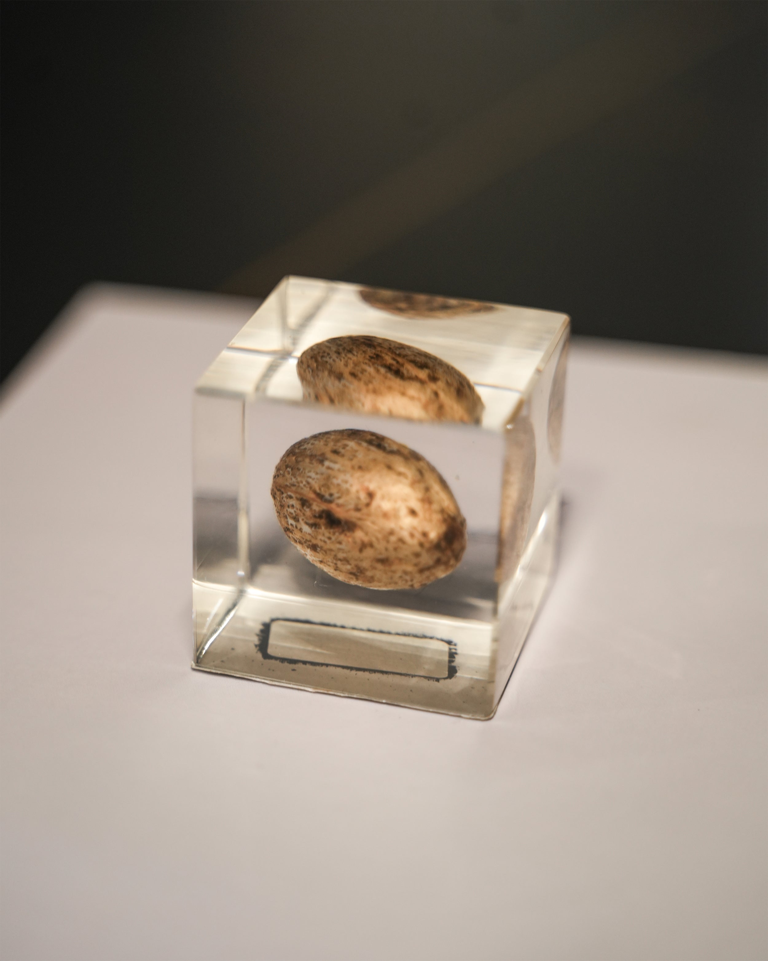 RESIN ORNAMENT
