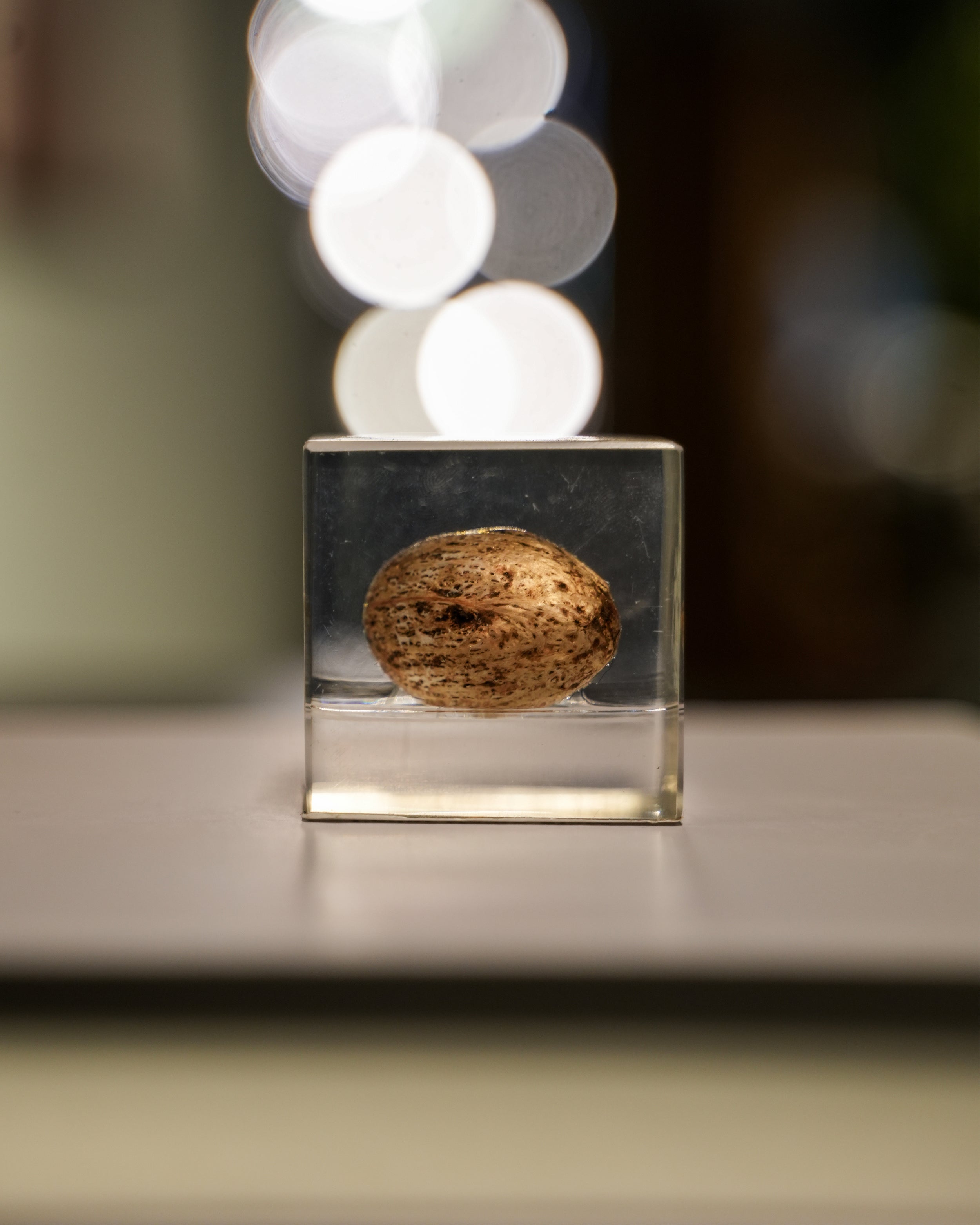 RESIN ORNAMENT
