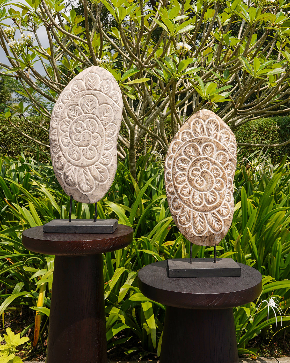 BANYAN ART