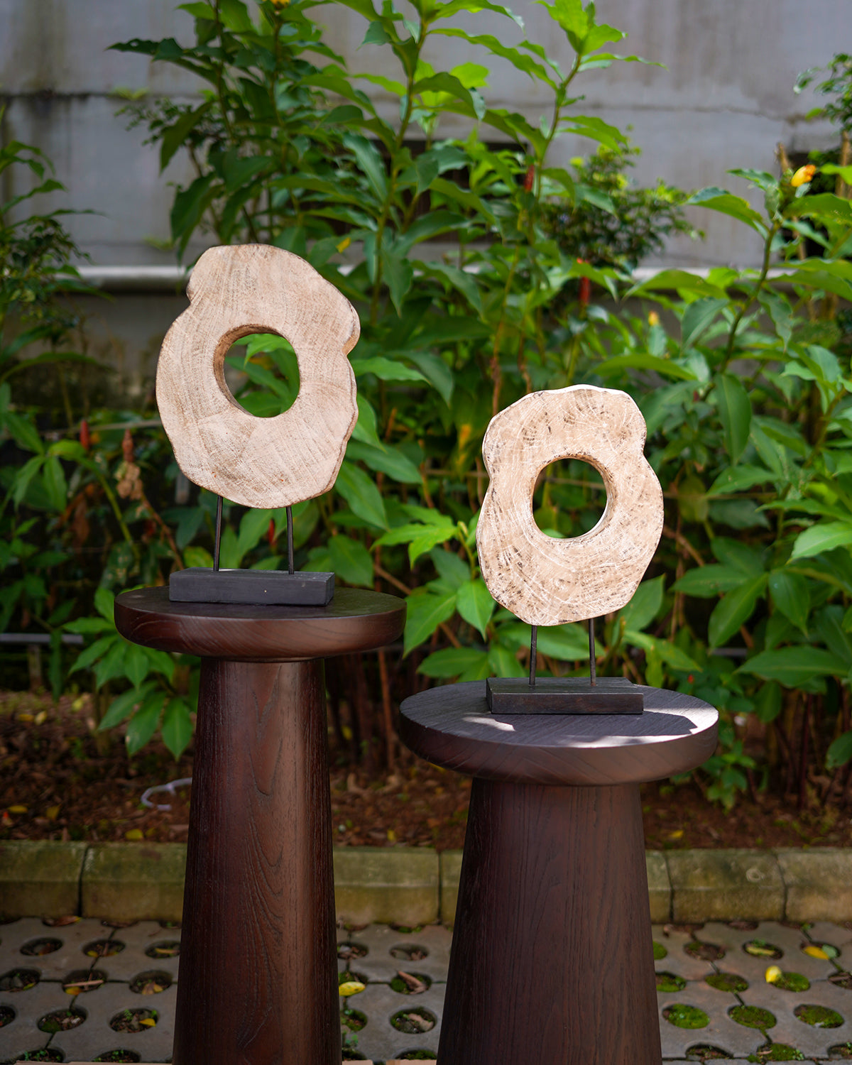 BANYAN ARTS