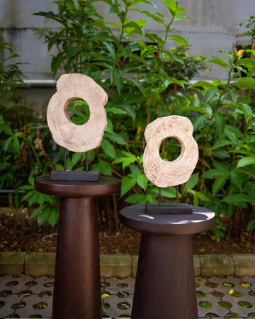 BANYAN ARTS