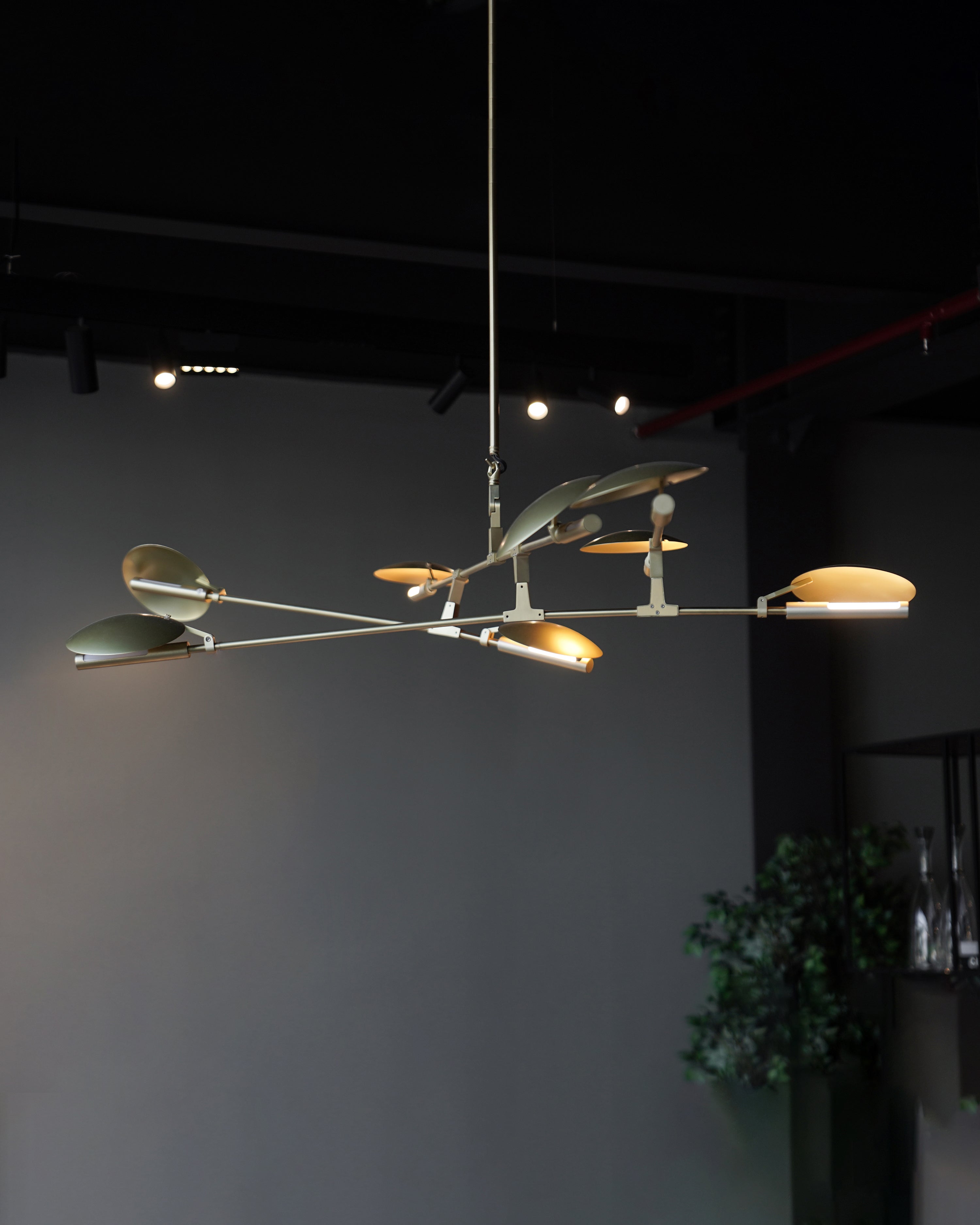 Large Glass Multi-Pendant Ceiling Lamp