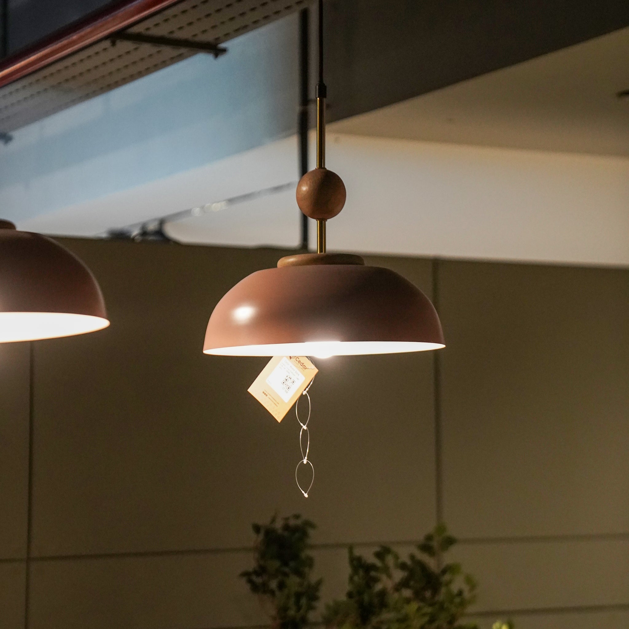 Printed Glass Frame Pendant Lamp